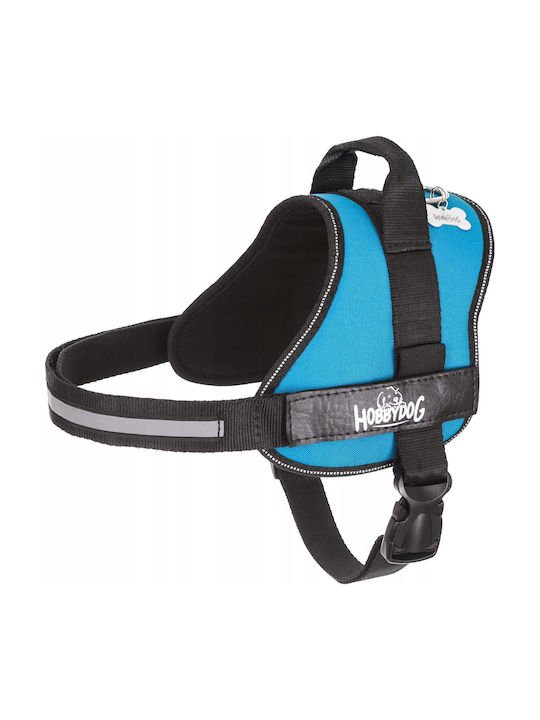 Hobbydog R2 Julletta Blue Harness