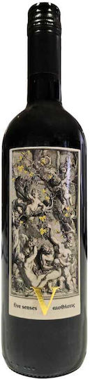 Ktima Lantidi Vin 5 Simțuri Merlot Roșu Sec 750ml