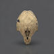 Cosplay Figur Prey Predator Maske Tragbar 3d Gedruckt-15 2 Cm 1:12