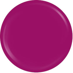 Sensopro Milano Expert Line UV Farbgel Wein Obs...