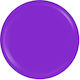 Sensopro Milano Expert Line Uv Colored Gel Roya...