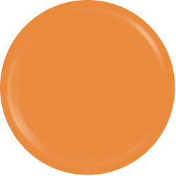 Sensopro Milano Expert Line Uv Farbgel Ginger S...