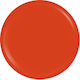 Sensopro Milano Expert Line Uv Colored Gel Merl...