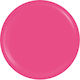 Sensopro Milano Expert Line Uv Colored Gel Card...