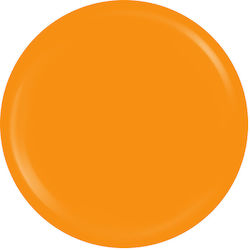 Sensopro Milano Expert Line UV Farbgel Feuriges...