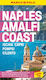 Naples & Amalfi Coast Marco Polo Pocket Travel Guide - With Pull Out Map - Heartwood Publishing - Paperback / Softback