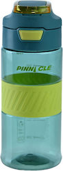 Pinnacle 31528