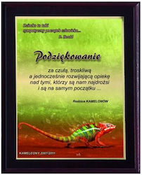 Пластмасов Диплом Цветен Touch Ламиниран