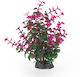 Aqua Natura Plant Decorațiune Acvariu Plantă Artificială Verde-Mov Din Plastic 20 Cm Peperomia