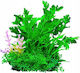 Aqua Natura Aquarium Decoration Plant Green Plastic 12 Cm Dense Plants Pink Decoration