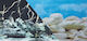 Hagen Zolux Double-sided Aquarium Background Roots Stones 50 X 80 Cm