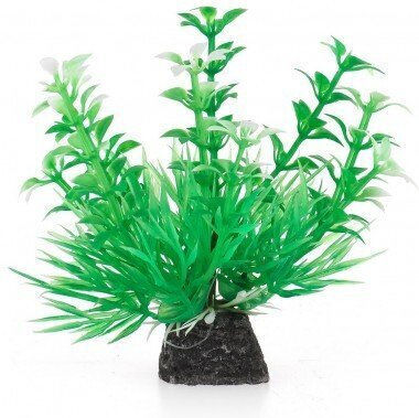 Aqua Natura Plant Aquarium Decoration Green Plastic 10 Cm Growing Shoots Spirulina