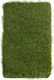 Biokarpet Sole Grass Eco 38mm-400x600