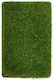 Biokarpet Sole Grass 50mm-400x900