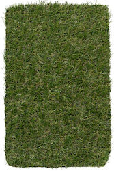 Biokarpet Sole Grass 20mm-400x500 Biokarpet Sole Grass 20mm-400x500