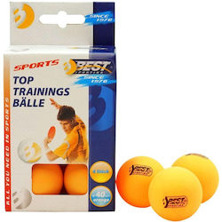 Mathv Outdoor Ping Pong Game
