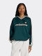 Women's Sweater Green