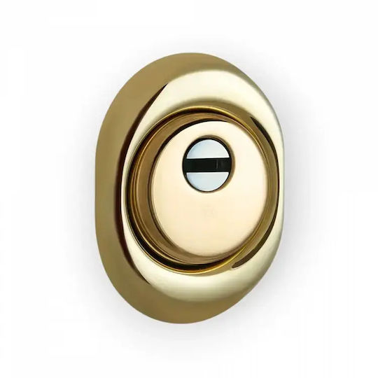 Disec Defender Lock Armoured Door Gold
