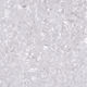 Glass Decorative Stones 2-4mm Transparent 200gr