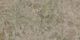 Aparici Porcelain Matte Floor / Wall Tile Interior 120x60cm Green