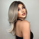 Animis Beauty Wig with Synthetic Hair in Gray C...