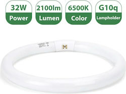 Aigostar Lampă Fluorescentă Circulară T9 32W G10q 6500K 2100lm 29x300mm