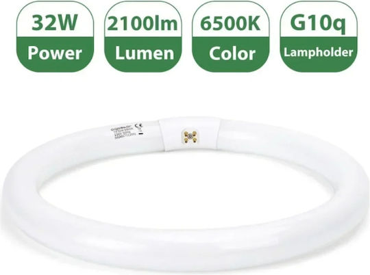 Aigostar Leuchtstofflampe Kreisförmig T9 32w G10q 6500k 2100lm 29x300mm