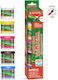 Alpino Washable Tempera 5 Colors X 40ml/box