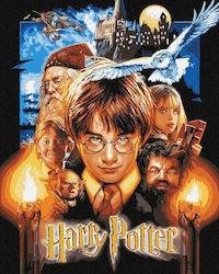 Painting By Numbers Harry Potter Metal 40x50cm