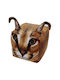 Deon Deon Zierkissen Braun 20x20cm