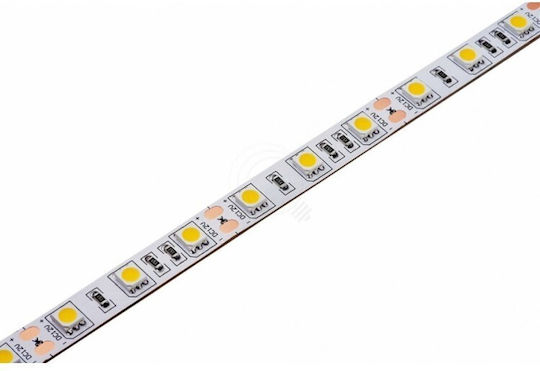 Jager LED Strip 24V Adjustable White Light 5m