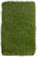 Biokarpet Sole Grass Eco 38мм-400x100