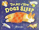 The Art Of How Dogs Sleep Alison Kim Little Young Readers