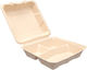 Tefaco Set 50 Salad Boxes Made Of Sugar Cane 23x23x5cm