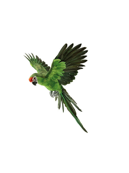 Decorative Parrot Open Wings Green 56x53cm 157.003.0107.09