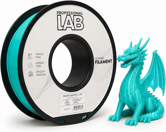 Petg Filament 3D Drucker Professionell Labor 1 Kg 1.75 Mm Cyan Blau