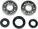 Moose Racing Crankshaft Bearing Set 24-1028 Yamaha YZ 250 98-00