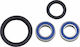 Moose Racing Kit Radlager Schutztyp Tschimouxes Trockhou Eμπρός Double Lip 25-1753