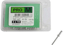 Pro m Πριτσίνια M3x10mm 100τμχ