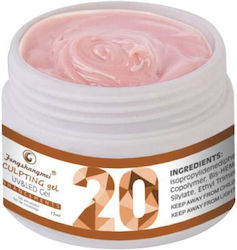 Fsm Gel Builder Nr 20