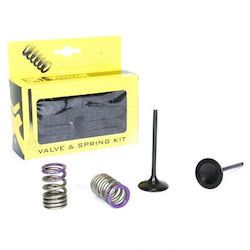 Prox Steel Intake Valve Set +springs Kx250f '09-10
