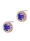 Silver And More Gold Plated Silver Earrings with Purple Stones