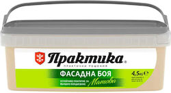 Vopsea Pentru Fațade Maro 4.5 Kg Praktika