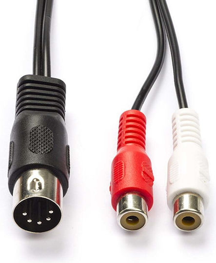 Nedis Cable 2x RCA female - 2x RCA female 0.2m CAGL20250BK02