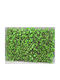 Synthetic Foliage Panel 2x1m