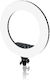 Caruba Ring Light 45.72cm with Mobile Phone Holder