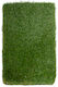 Biokarpet Sole Grass 40mm-200x2500