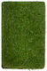 Biokarpet Rasen 50mm-400x500