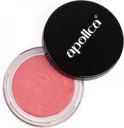 Apollca Apollca Rouge Candy 02 Apollca Apollca Rouge Candy 02