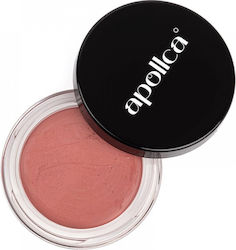 Apollca Apollca Rouge & Blush 01 Apollca Apollca Rouge & Blush 01